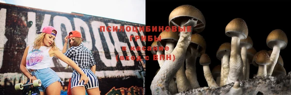 гашик Алексин