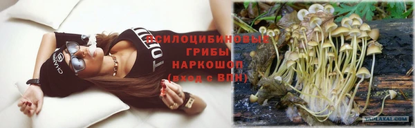 стаф Алзамай