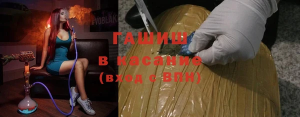 гашик Алексин
