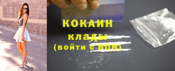 стаф Алзамай