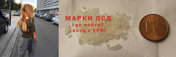 гашик Алексин