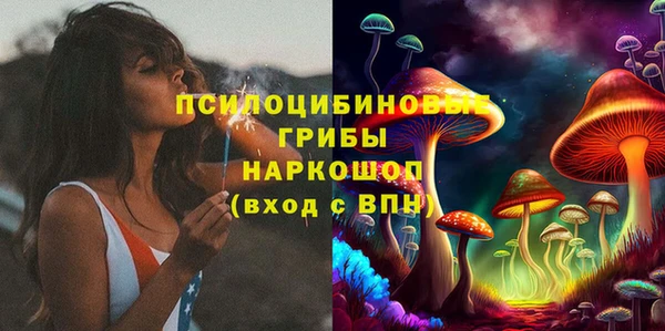 стаф Алзамай