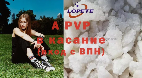 стаф Алзамай