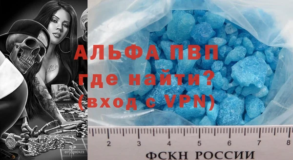 стаф Алзамай