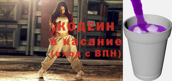 гашик Алексин