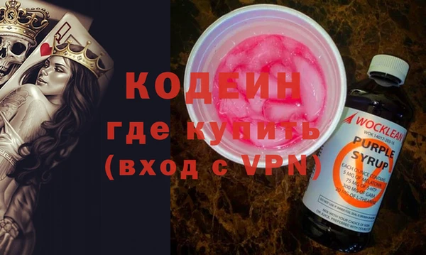 гашик Алексин