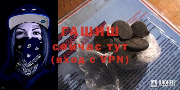 гашик Алексин