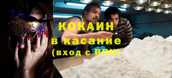 стаф Алзамай