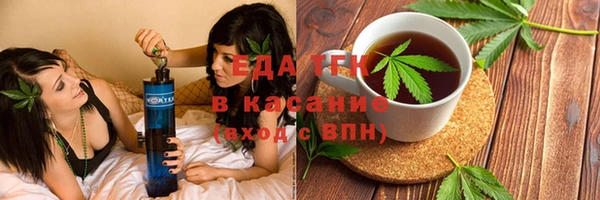 стаф Алзамай