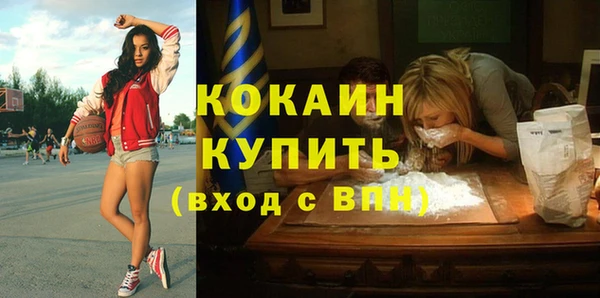 стаф Алзамай