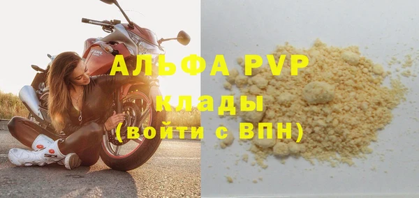 стаф Алзамай