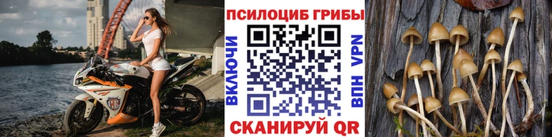 Галлюциногенные грибы ЛСД  цена наркотик  Качканар 
