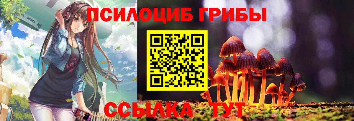 Псилоцибиновые грибы мицелий  Галлюциногенные грибы прущие грибы  магазин  наркотиков  Качканар  Вход с VPN 